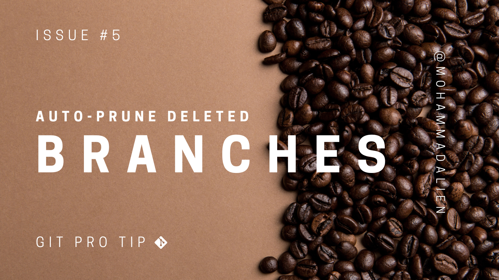 Enable Fetch Prune